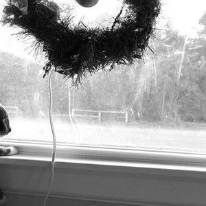 Meet your Posher, Kitty